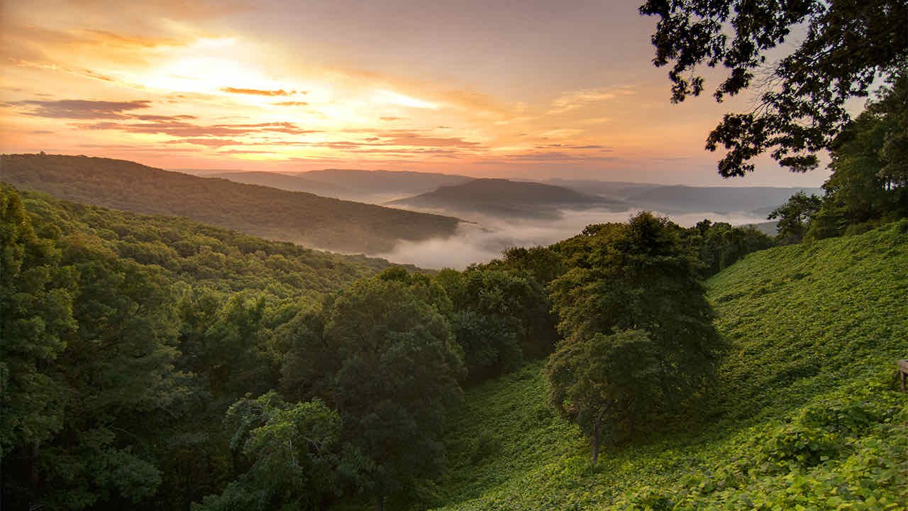 Northwest Arkansas landscape